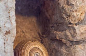 House Stone - Foto 31