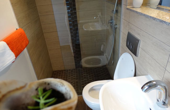 Guesthouse Marileo - Photo 52