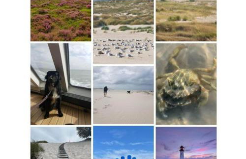 FeWo Nero Comfortable holiday residence - Foto 20