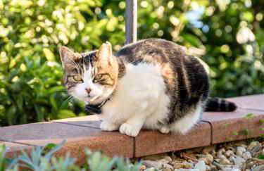 Borgo Pasqui - Foto 47