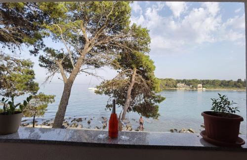 Apartments by the sea Ugljan - 19580 - Foto 19