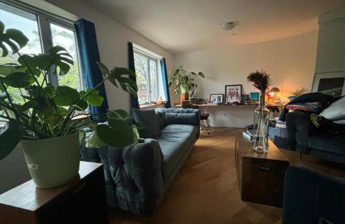 1 BEDROOM WITH SLEEPING IN LIVING ROOM Williamburg - Foto 9