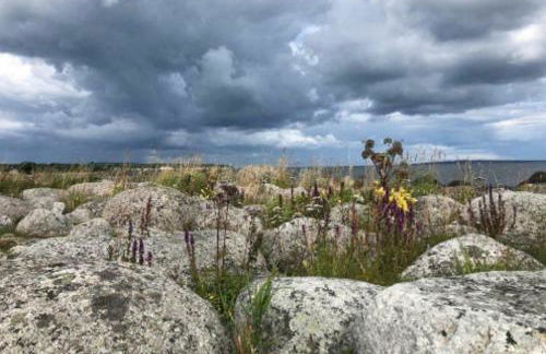 Stadtvilla - Foto 47