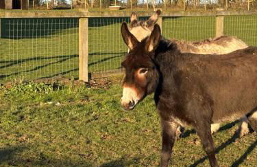 The Milking Parlour, Wolds Way Holiday Cottages, 1 bed cottage - Foto 20