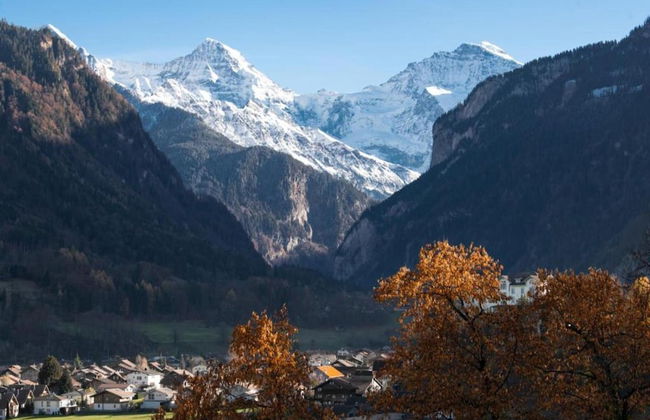 Pristine Home in a Charming Village, Large Grassy Sunbathing Area, View of the Mönch and Jungfrau - Foto 41