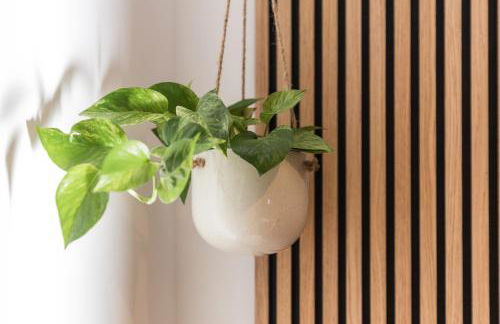 Fachwerk-Ferienhaus, Ruhe auf dem Land, Haustiere willkommen, Leihfahrräder, 24-7 check in - Foto 25