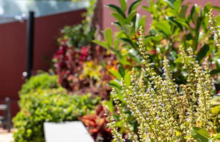 BravaSol by LovelyStay - Foto 59