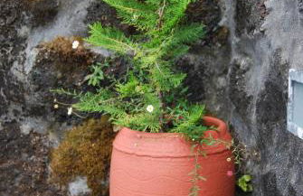 Casa do Terreiro - Photo 8