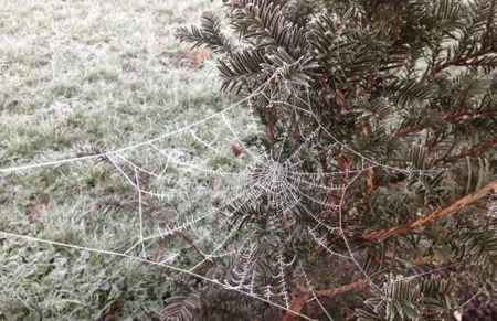 The Dairy - Photo 17