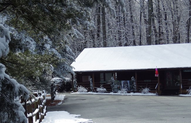 Wilderness Presidential Resort - Foto 2