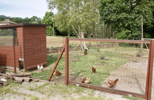 Can ventura, alojamiento entero - Foto 38