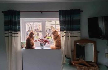 Ivy Cottage - Foto 38