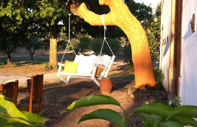 Quinta dos Ribeiros - Photo 60