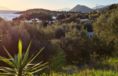 Greece - holidays & long stays - 2 Vilas - Photo 35