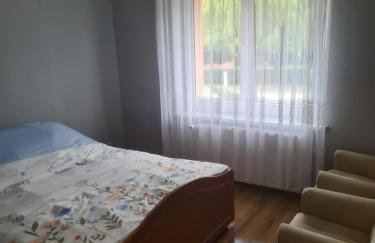 Apartament Mieszkanie do wynajęcia Olivka - Foto 3