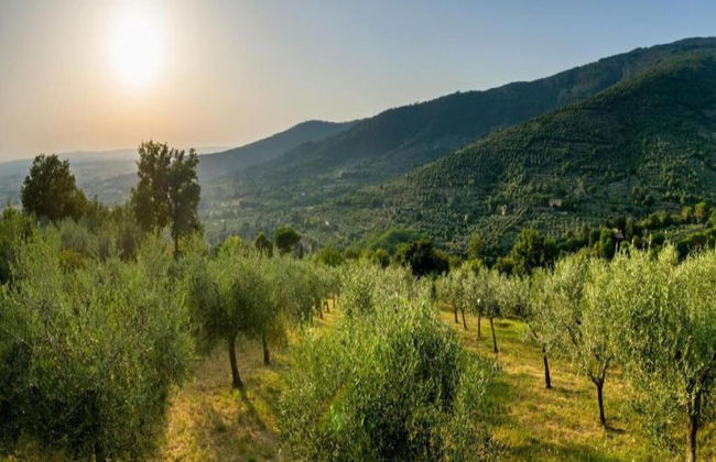 Farmhouse in Tuscany With Pool and Hill Views - Photo 28