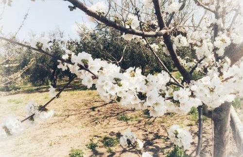 Villino in Campagna con Piscina Relax - La Casa di Teresa - Photo 7