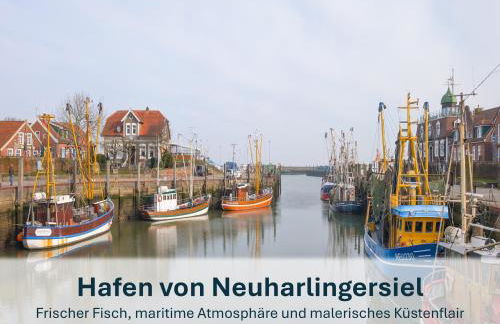 Stedesdorf, Ferienwohnung 49 - Foto 2