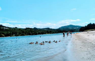 Casa de Travassos - Photo 2