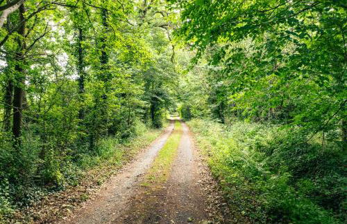 Idyllic Countryside Cottage in Worcestershire - Foto 57
