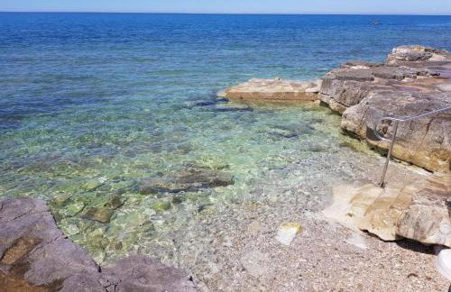 Casa Rosa - Photo 39