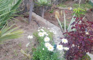 Casa Majores - Foto 25