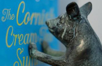 The Lambing Shed, Cornwall - Foto 15