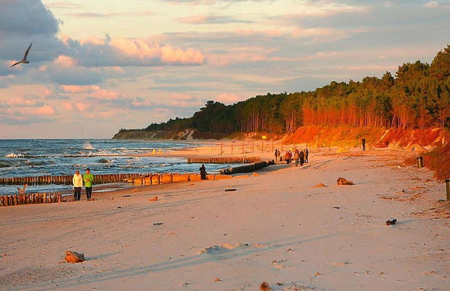Cottages in a Quiet Neighborhood, Rusinowo - Foto 17