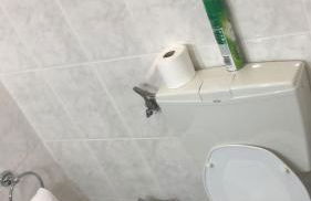 SPA - Casa do Avo BESELGA - Foto 31