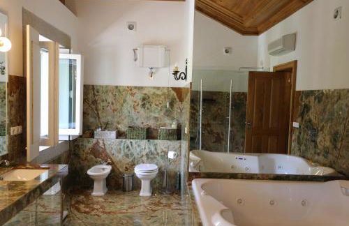 Casa dos Macieis - Entire Main House, Entire Guesthouse or Separate Wing of Main House - Camino Santiago direct access & Optional Agritourism - Foto 51