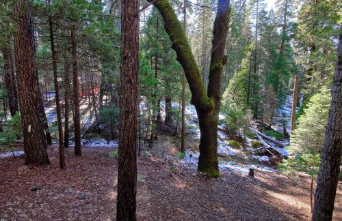 Hibernation Hideaway- Inside Yosemite- Dog Friendly - Foto 29