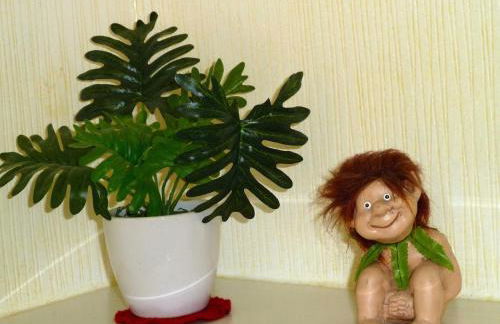 Ferienwohnung Villa am Haussee - Foto 22