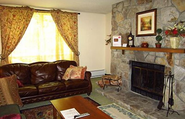 Mount Snow Condominiums - Photo 8