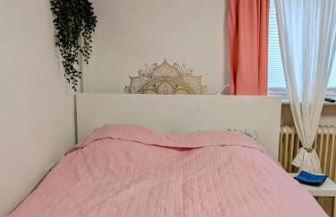 Apartment with AC, full kitchen, self check in, parking, 8 min to SAP campus, Wi Fi - Foto 6