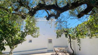 Olive tree cottage - Foto 4