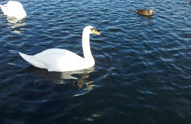 Ferienwohnung Pöttershof - Foto 26