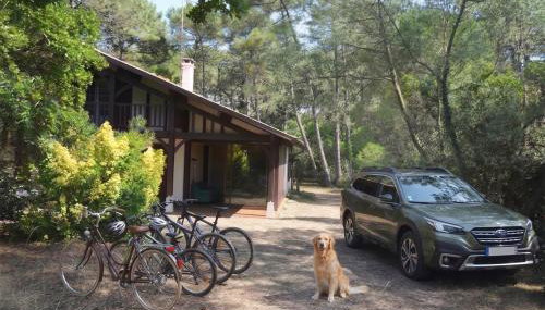 Villa Auriel Labenne-Océan - Foto 2