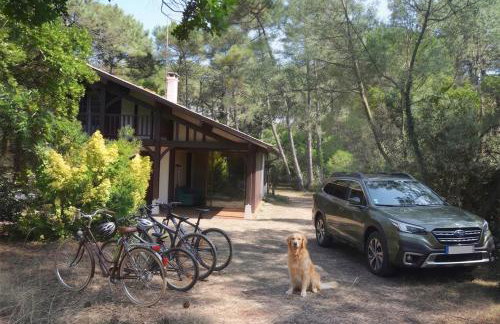 Villa Auriel Labenne-Océan - Foto 2