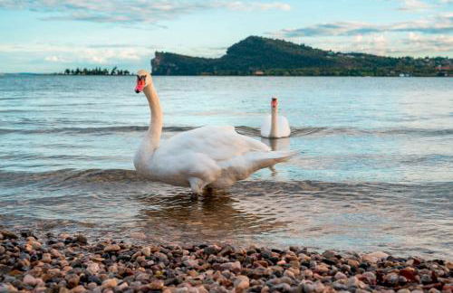 San Carlo Appartamenti vacanze - Foto 51