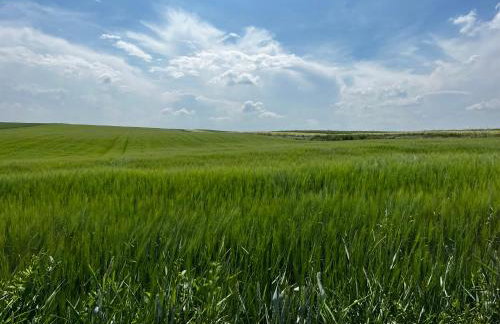 W Kręgu Natury - Foto 39