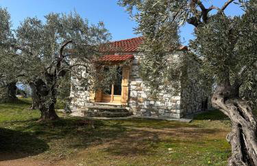 Haus im Olivenhain direkt am Meer - Foto 32