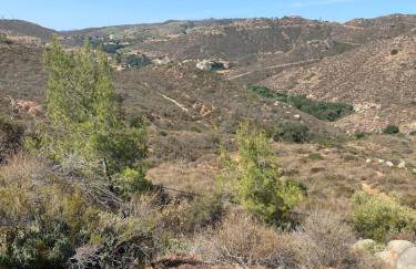 Acres of Bliss - A hillside getaway - Foto 33