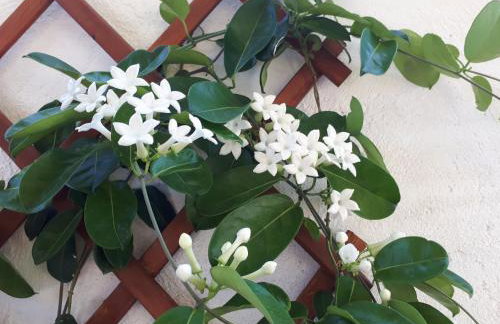 Viena Rooms & Apartments - Foto 11