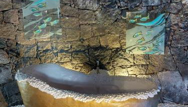 ALOELUX VILLA ! - Private Villa with Jacuzzi, cinema ,massage ,wonderful view, art desing villa - Foto 3