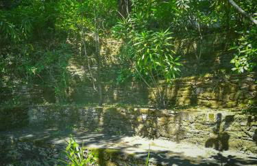 Quinta da Recochina - Foto 27