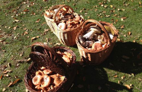 Casa Beatriz Valdelinares - Foto 33