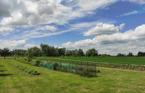 Agroturystyka Kobylnica nad Wisłą - Foto 54