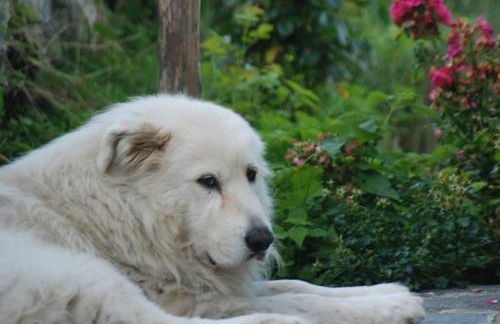 Agriturismo Al Marnich - Foto 134