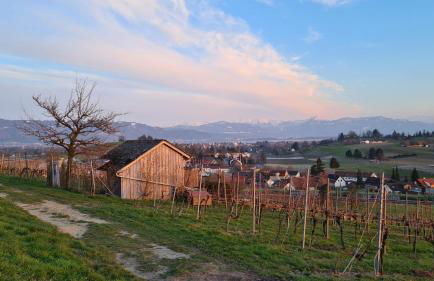 Blütenlodge Bodensee - Foto 43