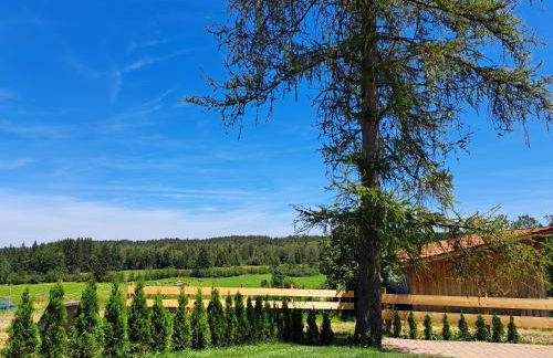 Ferienwohnung Bauer - Foto 1